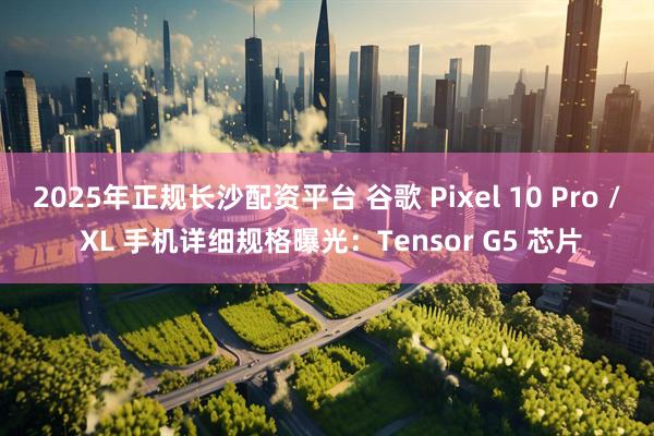 2025年正规长沙配资平台 谷歌 Pixel 10 Pro / XL 手机详细规格曝光：Tensor G5 芯片