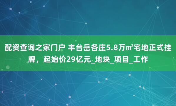 配资查询之家门户 丰台岳各庄5.8万㎡宅地正式挂牌，起始价29亿元_地块_项目_工作